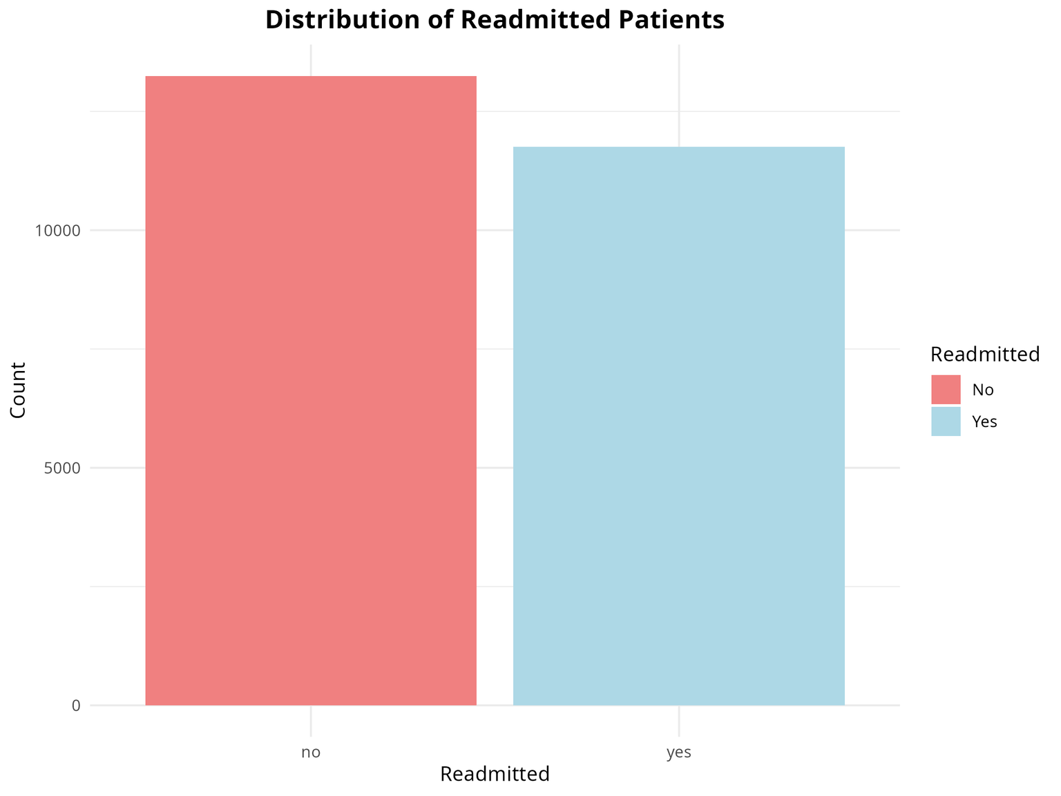 Readmission Distribution